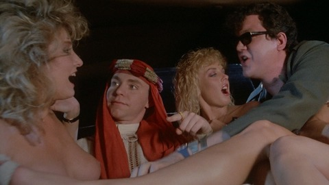 Sheila Lussier Nude in My Chauffeur. Breasts, back of limo, group of people. 815992