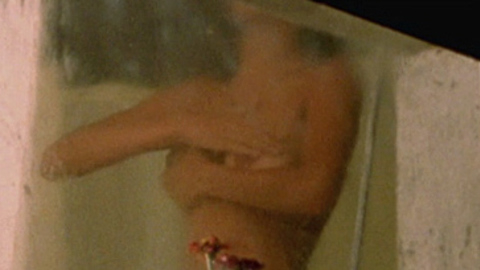 Maïwenn Le Besco in High Tension (2003) Breasts Bathroom Breasts 689472