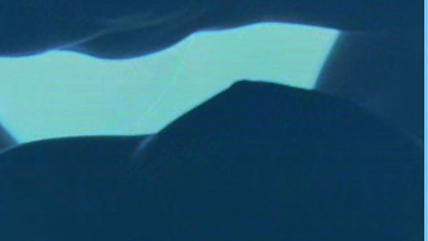 Emily Blunt in Irresistible (2006) Breasts Breast Close Up Breasts 631967
