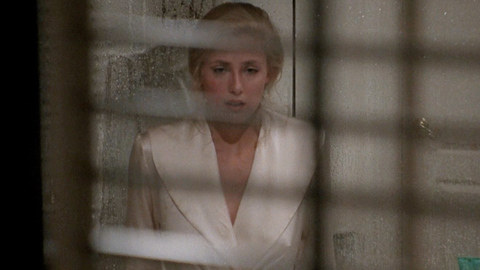 Sexiest Scenes of Kay Otis from Consenting Adults. Sexy, SFW, pokies. 726719