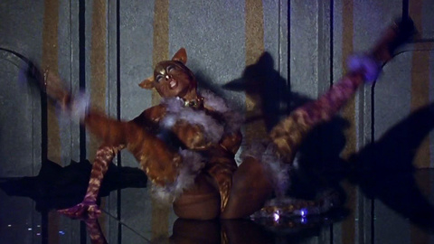 Sexiest PaSean Wilson Scene in Striptease. Thong, SFW, cat costume. 708499