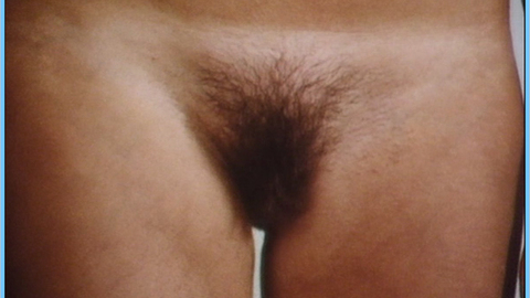 Juliane Rom-Sock in Geh, zieh dein Dirndl aus (1973) Bush Bush Bush Close Up 588115