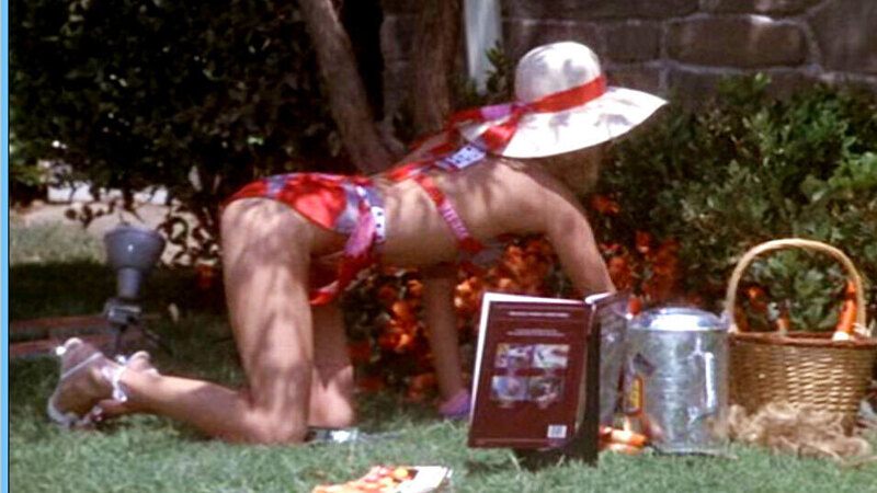 The 'Burbs's Sexiest Scenes with Wendy Schaal. Bikini, SFW, gardening. 574608