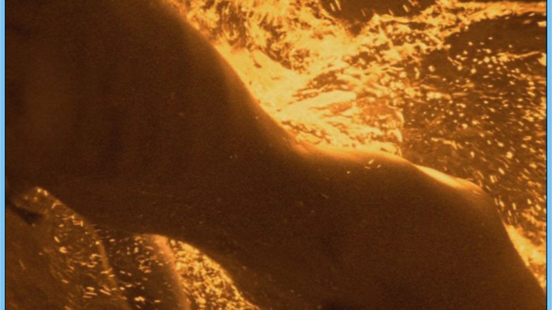 Carrie from Red Shoe Diaries Naked. Breasts, Bush, nude, swimming. 654761