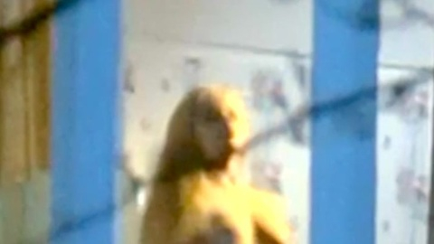 Alexandra Hay Nude as Angela Thorne. Breasts, blonde, in the window. 1014242