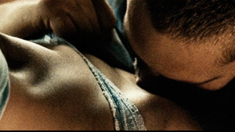 Vera Farmiga in Running Scared (2006) Underwear Brunette Couple 726532