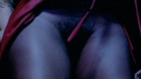 Ajita Wilson Naked in Contraband. Bush, dress pulled up, hairy bush. 709165