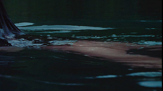 Sexiest Megan Fox Scene in Jennifer's Body. Sexy, SFW, Skinny Dipping. 680551