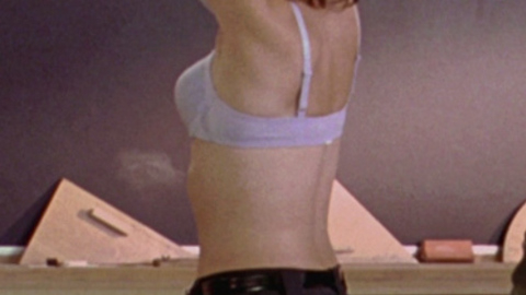 Tina Fey in Mean Girls (2004) Underwear Brunette Light Purple Bra 683511