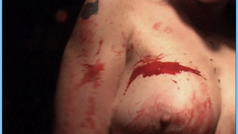 'Butcher Couple' from Blood Gnome Naked. Breasts, blood, hard nipples. 611543