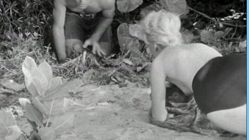 Nudes of Glory La Verne from Fiend of Dope Island. Breasts, back exposed, beach. 611592