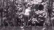 Jane Wyatt Naked as Sondra. Butt, Stream, back exposed. 613587