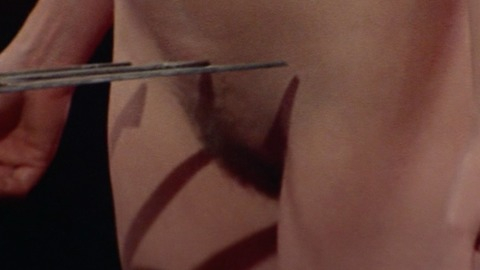 Marina Hedman in Play Motel (1979) Bush Bush Hairy Bush 773580