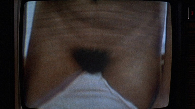 Suzy from Revenge of the Nerds Naked. Bush, hairy bush, nude. 739355