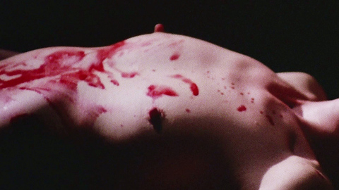 Erna Schürer in Strip Nude for Your Killer (1975) Breasts Blonde Blood 708428