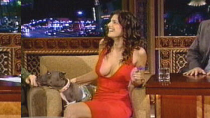 Hottest Lake Bell Scene in Jimmy Kimmel Live!. Sexy, big breasts, brunette. 655304