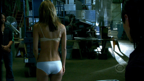 Grace Park in Hawaii Five-0 (2010-2020) Underwear Sfw Underwear 688907