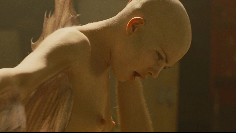 Delphine Chanéac Nude in Splice. Breasts, bald, nude. 689404
