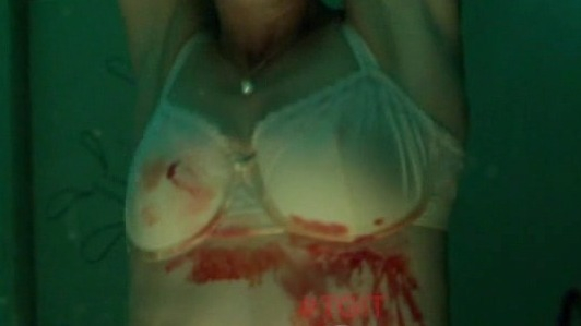 Sexiest Liza Weil Scene in How to Get Away with Murder. Underwear, bathroom, bloody. 776095