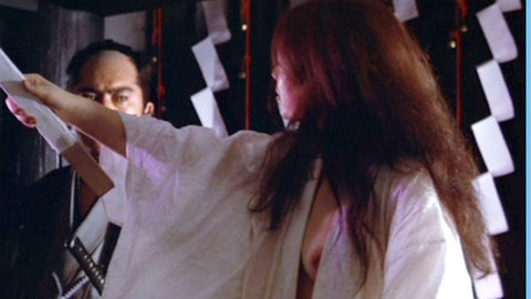 Masami Sanada in Hanzo the Razor 2 (1973) Breasts Asian Breasts 620838