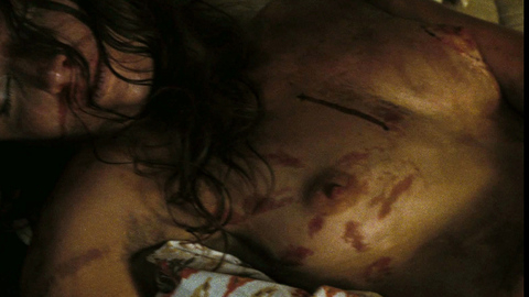 Nudes of Otis's Victim from The Devil's Rejects. Breasts, bloody, bruised. 709230