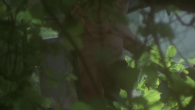 Debbie Linden Nude as Carol. Breasts, nude. 745880