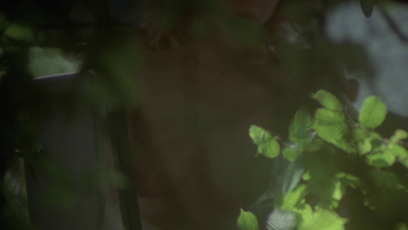 Nudes of Carol from Home Before Midnight. Breasts, nude. 745884