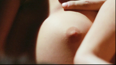 Antonia Santilli in Il boss (1973) Breasts Breast Close Up Breasts 719438