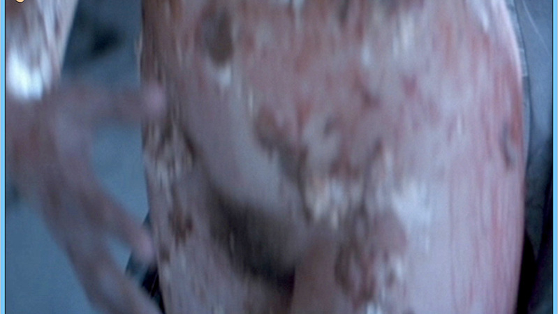 Trae Houlihan Nude as Sculptor's wife. Bush, dirty, nude. 626240