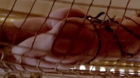 Ellan Fartt in Bad Timing (1980) Butt Big Net Blonde 753110