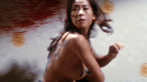 Miki Sugimoto in Criminal Woman (1973) Breasts Asian Black Hair 627665