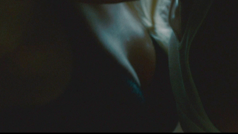 Amanda Seyfried in Dear John (2010) Underwear Black Bra Cleavage 685003