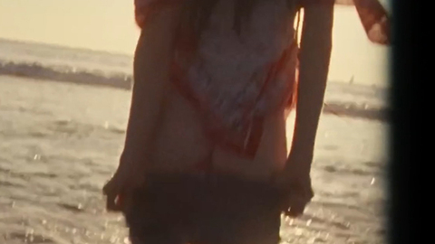 Amanda Seyfried in Lovelace (2013) Butt Beach Butt 727684