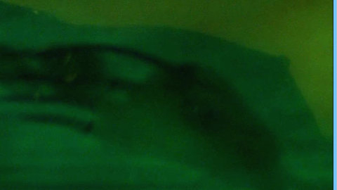 T.V. Carpio in Sucker Free City (2004) Breasts Breasts Green Lighting 630796