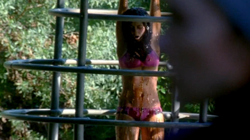 Sexiest Vanessa Motta Scene in Castle. Underwear, SFW, arms above head. 681751