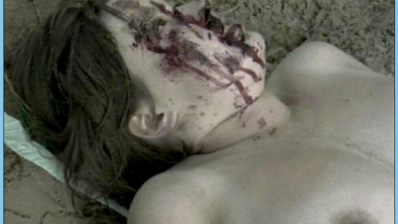 Anna Brass Nude in Der freie Wille. Breasts, beach, bloody. 630970