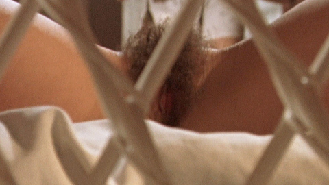 Nudes of Anna from Private. Bush, being photographed, hairy bush. 727176