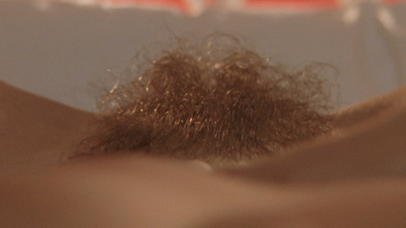 Maruska Albertazzi Naked in Private. Bush, bush close-up, hairy bush. 727177