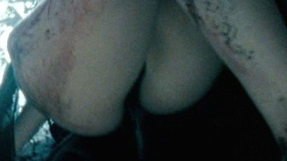 Sexiest Scenes of Tanis Vamp #1 from Underworld: Evolution. Underwear, SFW, black panties. 739991