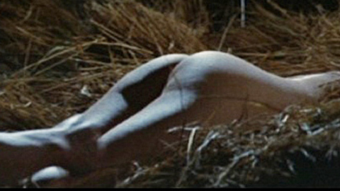Naomi Tani in Fairy in a Cage (1977) Butt Butt Laying In Hay 726845