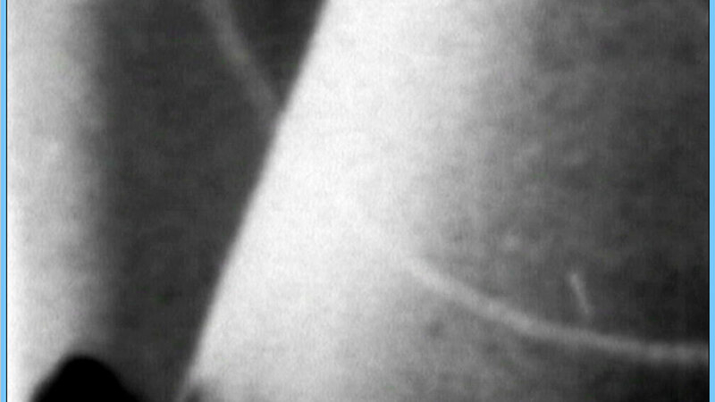 Ana (Redhead) from Pulsar Naked. Breasts, black and white, dark. 579107