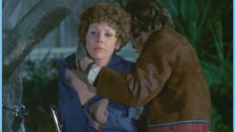 Elizabeth Knowles in Wild Riders (1971) Breasts Breasts Nude 578243