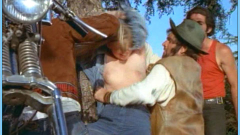 Linda Johanesen in Wild Riders (1971) Breasts Breasts Nude 578266