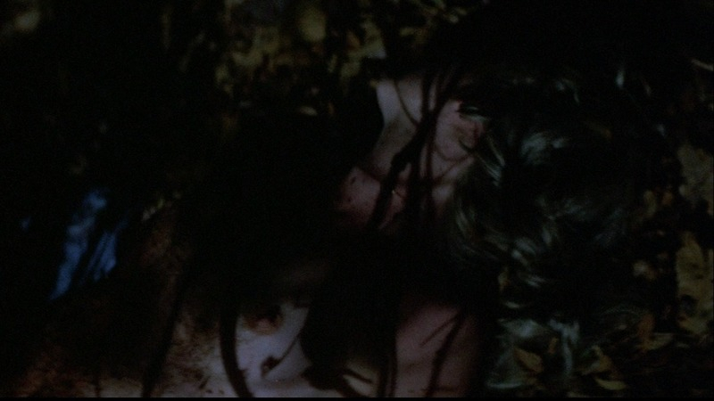 Katherine Moffat Nude as Amanda Platt. Breasts, Body Double, bloody, brunette. 732134
