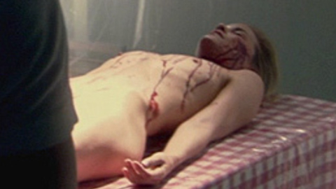 Valerie Dillman in Dexter (2006-2013) Breasts Bloody Breasts 701143