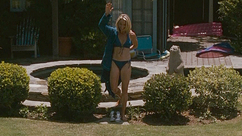 Katherine LaNasa in Valentine's Day (2010) Bikini Bikini Blonde 684847