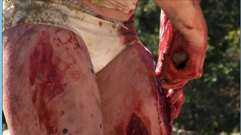 Sexiest Laura Ramsey Scene in The Ruins. Underwear, bleeding, blood. 650833