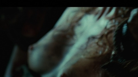 Cécile Breccia in The Hills Have Eyes II (2007) Breasts Arms Tied Bloody 738437