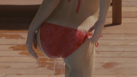 Sarah Roemer in Disturbia (2007) Bikini Back Exposed Bikini 746706