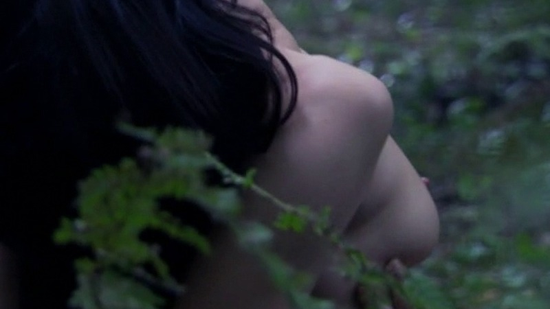 Nudes of Anne Boleyn from The Tudors. Breasts, arched back, brunette. 740316